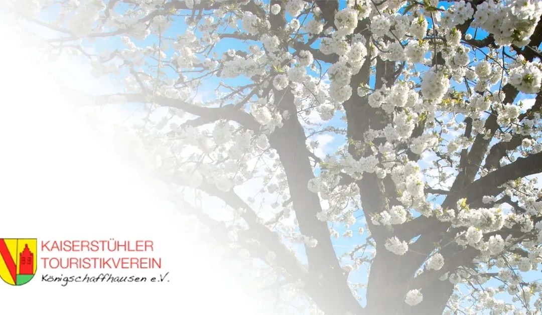 Weinprobe im Weinberg Kublin