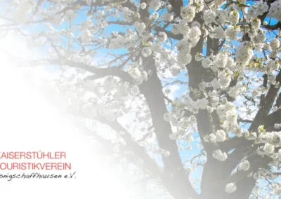 Weinprobe im Weinberg Kublin